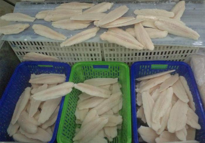 cómo se cultivan los peces пангасиус de vietnam