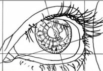 Wie zeichnet man ein Auge Bleistift etappenweise
