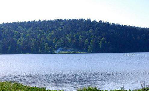 el Lago de бархатово krasnoyarsk foto