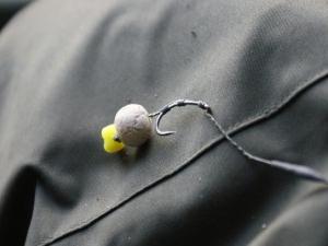 what to catch carp in the spring