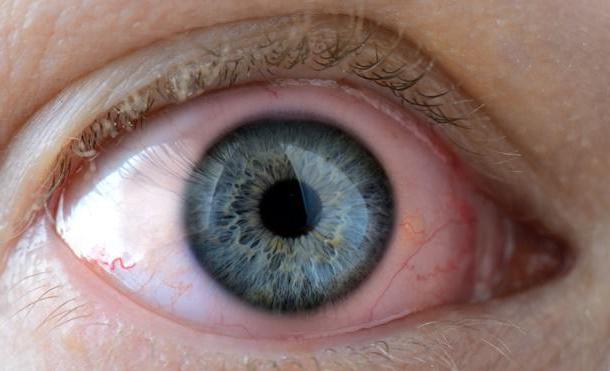 fucithalmic قطرات العين تعليمات الاستخدام