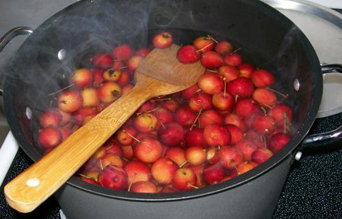 como cozinhar em uma jam китайки maçãs