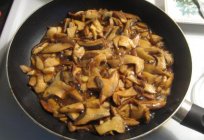 Jak obsługiwać маслята: gotowanie, przechowywanie. Jak szybko przetworzyć grzyby маслята?
