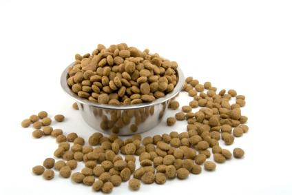 our brand dry dog food