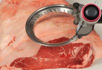 Procesamiento de la carne: la secuencia, la tecnología