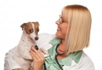 राज्य में पशु चिकित्सा क्लीनिक मास्को: पते, फोन नंबर, कार्य के घंटे, समीक्षा