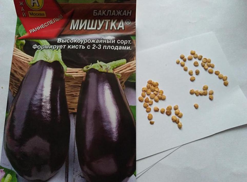 Eggplant Mishutka