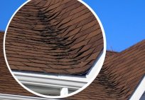 Untersuchung des Daches – eine Garantie für ein gemütliches Zuhause