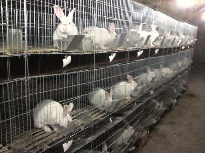 la malla metálica para las jaulas de conejos