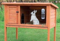 What you need a mesh for cage rabbits: dimensions. How to make a rabbit Hutch mesh with your own hands?