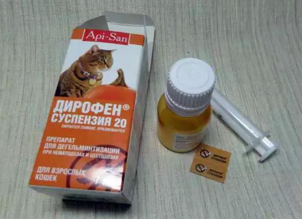 дирофен oral para gatinhos