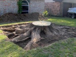 how to uproot the stump