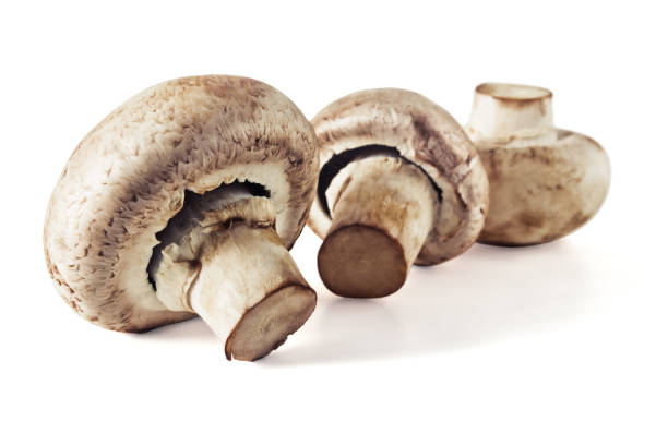 how long are mushrooms in the fridge