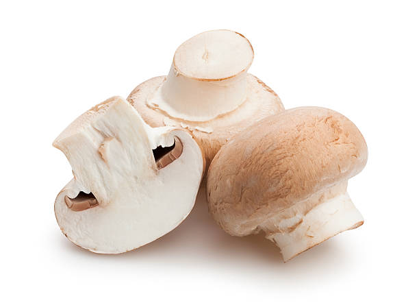 quantos são armazenados os cogumelos шампиньоны na geladeira