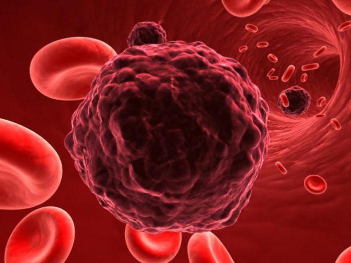 иммуногистохимическое la investigación en cáncer