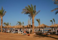 Dinlenme sistemi Fortuna Hurghada 4*