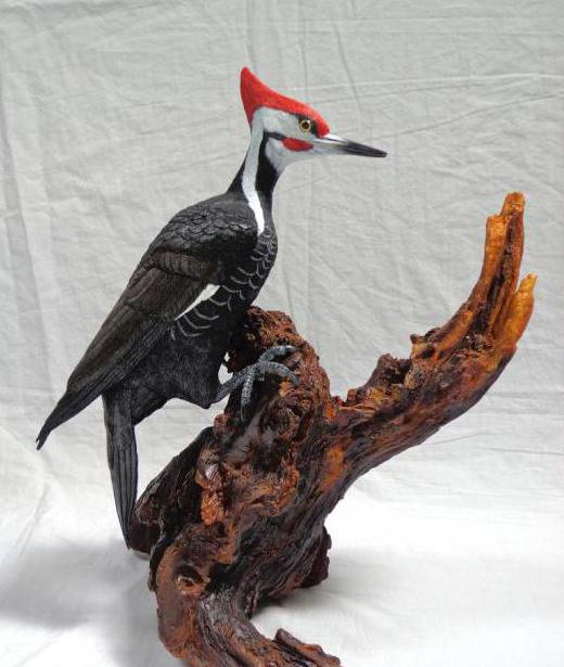 la artesanía de plastilina aves