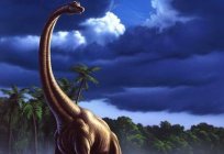 Fleischfressende Dinosaurier - тероподы: Beschreibung, Lebensweise