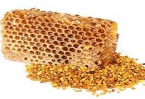 アクセスできる大変便利な場所に花粉を集めたミツバチ