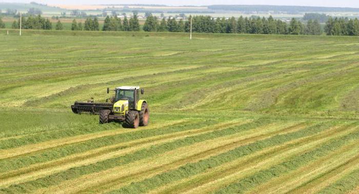 farming in Moscow oblast
