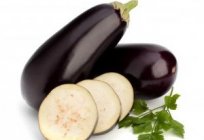 Eggplant: how to grow correctly