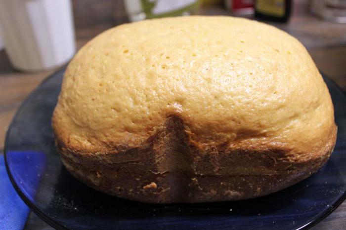 przepisy kulinarne ciasta automat do pieczenia chleba panasonic