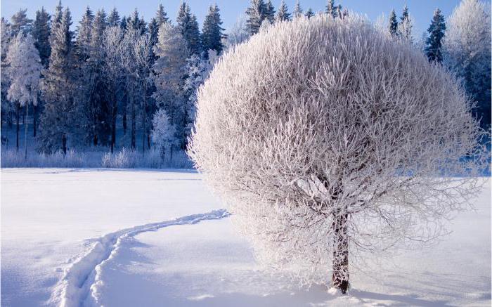 an explanation of the names of the months in the old Slavonic calendar