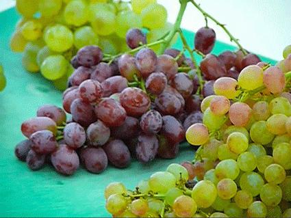 winogrona кишмиш korzyści i szkody