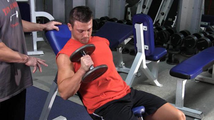 exercises for the biceps triceps in the gym