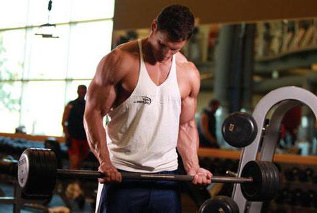 effective exercise for the biceps in the gym