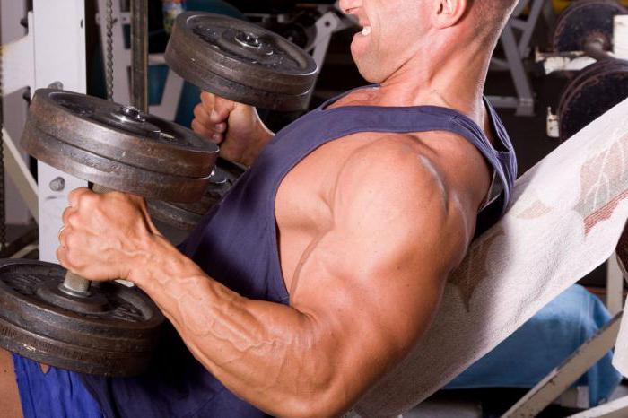 complejo de ejercicios para el bíceps en el gimnasio