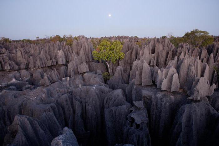 Beschreibung des Klimas der Insel Madagascar