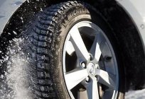 Neumáticos MICHELIN x Ice North xIN3: sinopsis, descripción, características y los clientes