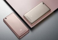 Xiaomi Redmi 4 Pro: features and reviews