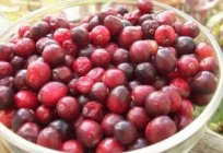 Como armazenar cranberries em casa: dicas úteis anfitriões na nota
