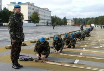 Высокамабільныя дэсантныя войскі (ПДВ) Украіны
