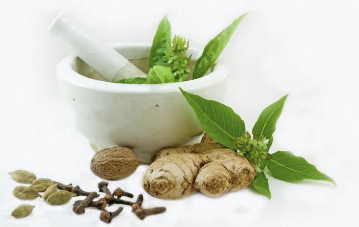 herbalist Golden recipes of traditional medicine