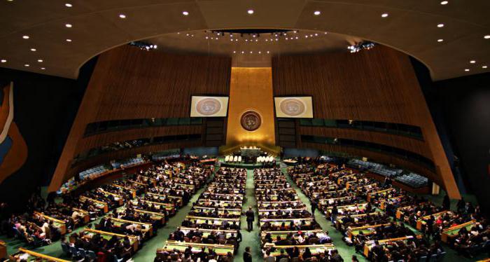 die Reform der UNO