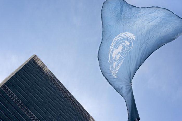 Erklärung über die Reform der Vereinten Nationen