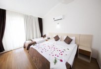 Готель Kadriye Sarp Hotel 3*, Туреччина: огляд, опис та відгуки