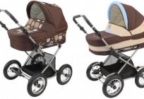 Products of the company Jedo: strollers. Reviews and description