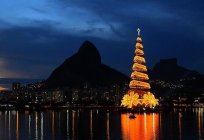 Новы год у Бразіліі: традыцыі святкавання