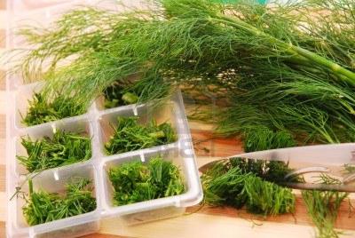 how to prepare fennel for the winter