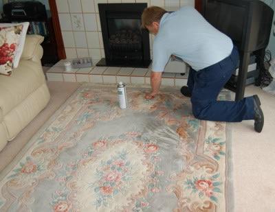 how to clean a carpet well