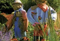 Let us make a Scarecrow with your hands - give yourself and children a holiday!
