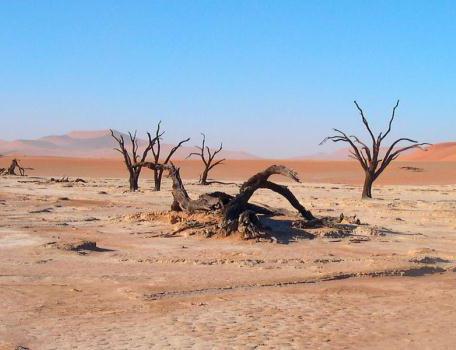 el desierto de los problemas ambientales