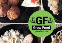 Grow Food: yorum, tür, kompozisyon, verim ve sonuçları