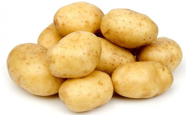сорт картоплі гала
