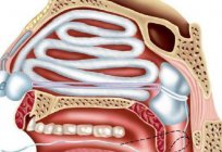 Przednia i tylna tamponada nosa: stan i opis procedury
