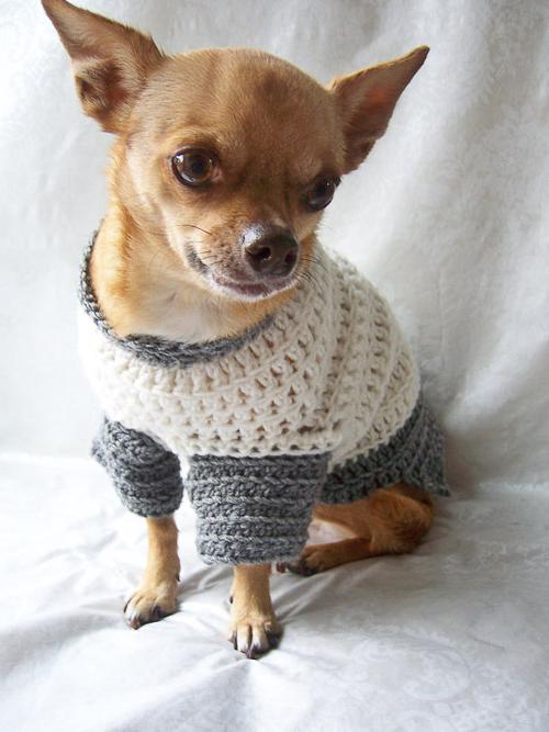 Pullover für Hunde